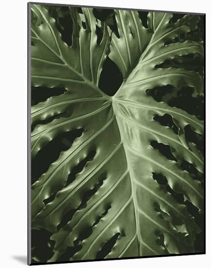 Tropica I-Boyce Watt-Mounted Giclee Print