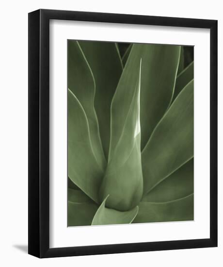 Tropica III-Boyce Watt-Framed Giclee Print