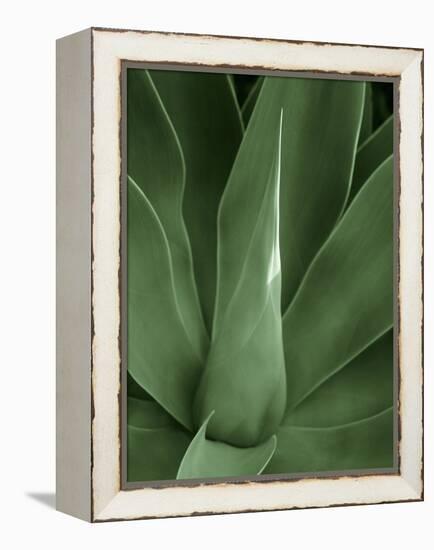 Tropica III-Boyce Watt-Framed Stretched Canvas