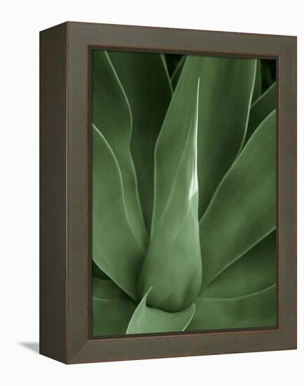 Tropica III-Boyce Watt-Framed Stretched Canvas