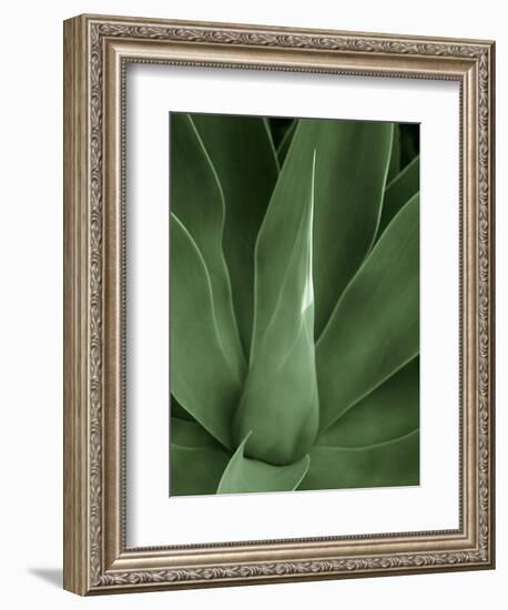 Tropica III-Boyce Watt-Framed Premium Giclee Print