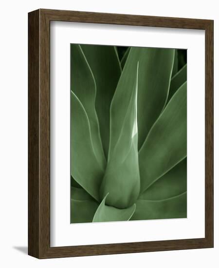 Tropica III-Boyce Watt-Framed Premium Giclee Print