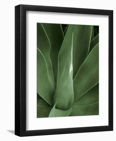 Tropica III-Boyce Watt-Framed Premium Giclee Print