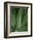 Tropica III-Boyce Watt-Framed Premium Giclee Print