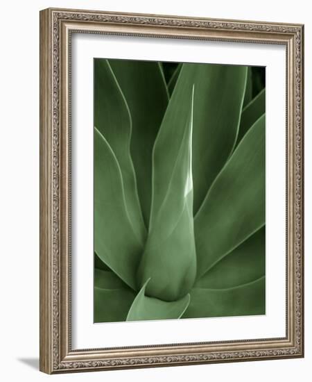 Tropica III-Boyce Watt-Framed Art Print