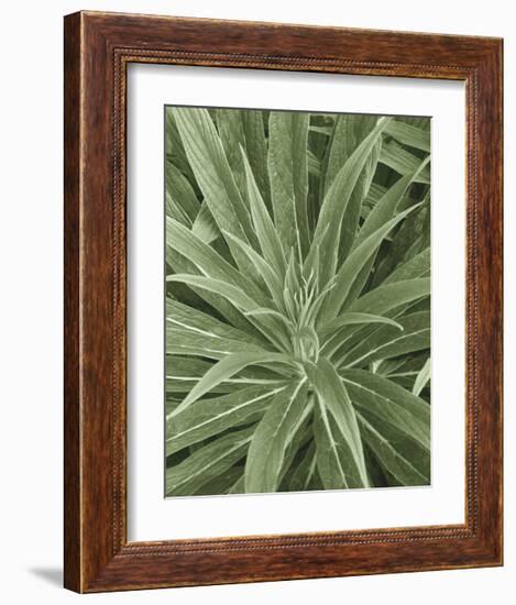 Tropica IV-Boyce Watt-Framed Giclee Print