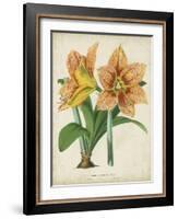 Tropical Array I-Horto Van Houtteano-Framed Art Print