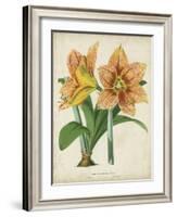 Tropical Array I-Horto Van Houtteano-Framed Art Print
