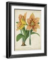 Tropical Array I-Horto Van Houtteano-Framed Art Print