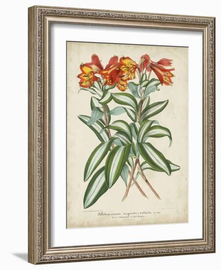 Tropical Array III-Horto Van Houtteano-Framed Art Print