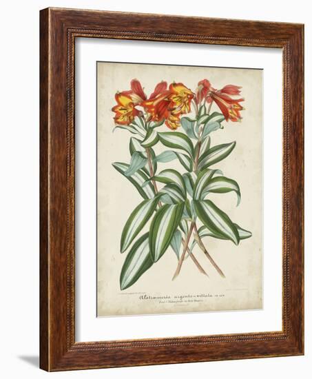 Tropical Array III-Horto Van Houtteano-Framed Art Print