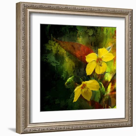 Tropical Ascent-Philippe Sainte-Laudy-Framed Premium Photographic Print