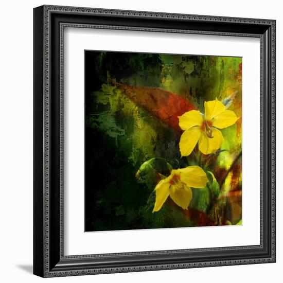 Tropical Ascent-Philippe Sainte-Laudy-Framed Premium Photographic Print