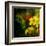 Tropical Ascent-Philippe Sainte-Laudy-Framed Premium Photographic Print