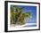 Tropical Beach and Palm Trees, Maldives, Indian Ocean-Danielle Gali-Framed Photographic Print