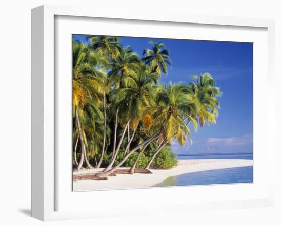 Tropical Beach and Palm Trees, Maldives, Indian Ocean-Danielle Gali-Framed Photographic Print