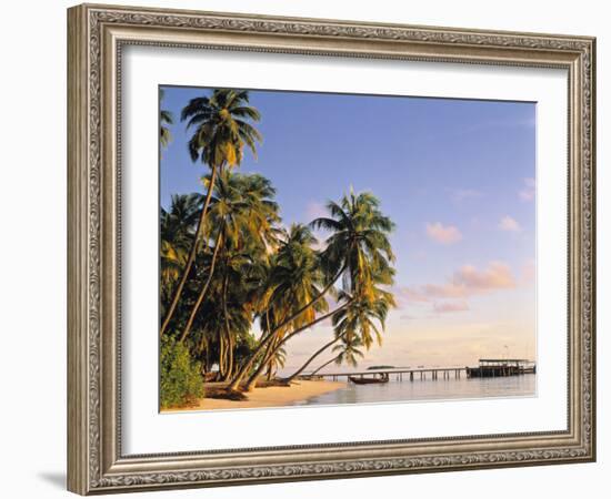 Tropical Beach and Palm Trees, Maldives, Indian Ocean-Danielle Gali-Framed Photographic Print