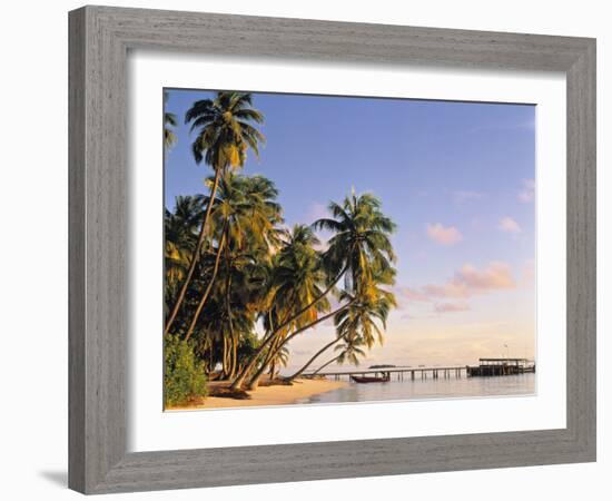 Tropical Beach and Palm Trees, Maldives, Indian Ocean-Danielle Gali-Framed Photographic Print