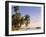 Tropical Beach and Palm Trees, Maldives, Indian Ocean-Danielle Gali-Framed Photographic Print