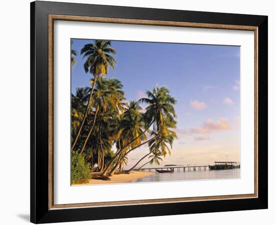 Tropical Beach and Palm Trees, Maldives, Indian Ocean-Danielle Gali-Framed Photographic Print