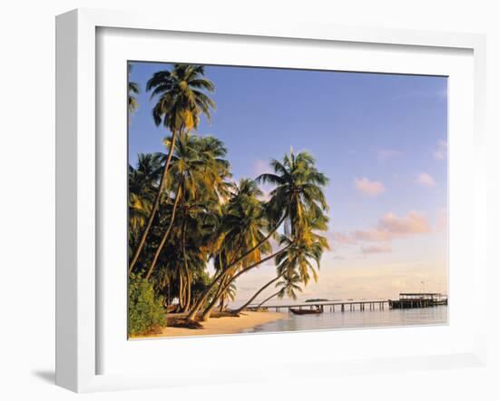 Tropical Beach and Palm Trees, Maldives, Indian Ocean-Danielle Gali-Framed Photographic Print