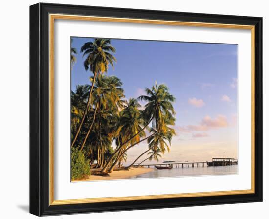 Tropical Beach and Palm Trees, Maldives, Indian Ocean-Danielle Gali-Framed Photographic Print