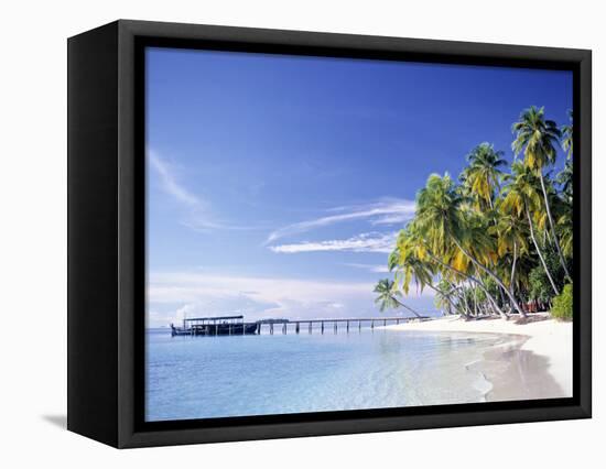 Tropical Beach and Palm Trees, Maldives, Indian Ocean-Danielle Gali-Framed Premier Image Canvas