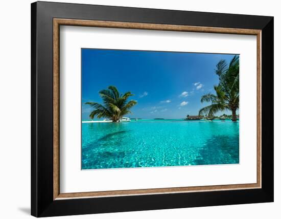 Tropical Beach and Pool-oleggawriloff-Framed Photographic Print