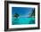 Tropical Beach and Pool-oleggawriloff-Framed Photographic Print