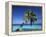 Tropical Beach at Maldives-Jon Arnold-Framed Premier Image Canvas