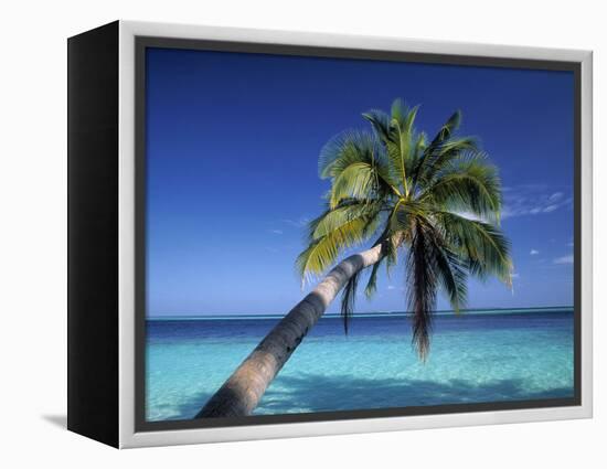 Tropical Beach at Maldives-Jon Arnold-Framed Premier Image Canvas