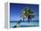 Tropical Beach at Maldives-Jon Arnold-Framed Premier Image Canvas