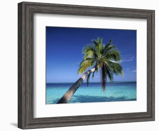 Tropical Beach at Maldives-Jon Arnold-Framed Photographic Print