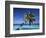 Tropical Beach at Maldives-Jon Arnold-Framed Photographic Print