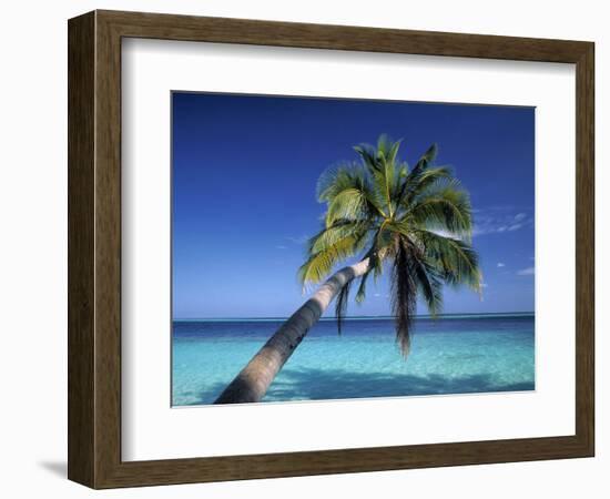 Tropical Beach at Maldives-Jon Arnold-Framed Photographic Print