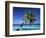 Tropical Beach at Maldives-Jon Arnold-Framed Photographic Print