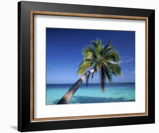 Tropical Beach at Maldives-Jon Arnold-Framed Photographic Print