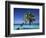 Tropical Beach at Maldives-Jon Arnold-Framed Photographic Print