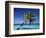 Tropical Beach at Maldives-Jon Arnold-Framed Photographic Print