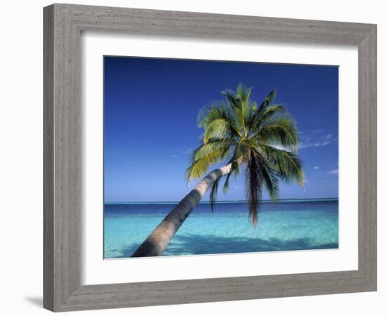 Tropical Beach at Maldives-Jon Arnold-Framed Photographic Print