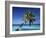 Tropical Beach at Maldives-Jon Arnold-Framed Photographic Print