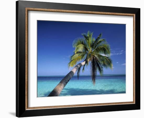 Tropical Beach at Maldives-Jon Arnold-Framed Photographic Print