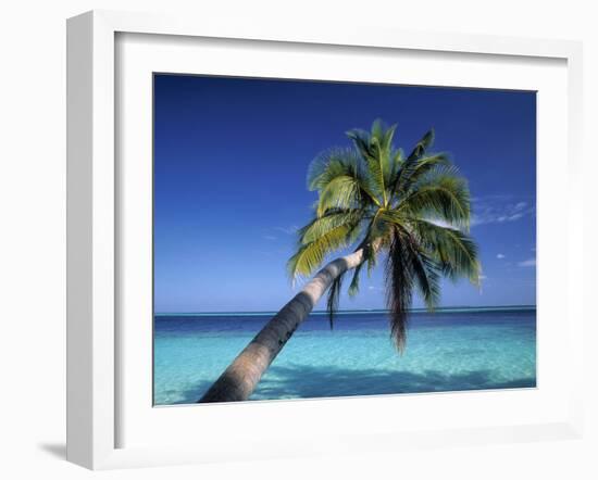 Tropical Beach at Maldives-Jon Arnold-Framed Photographic Print