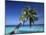 Tropical Beach at Maldives-Jon Arnold-Mounted Photographic Print