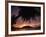 Tropical Beach at Sunset, the Seychelles-Mitch Diamond-Framed Photographic Print