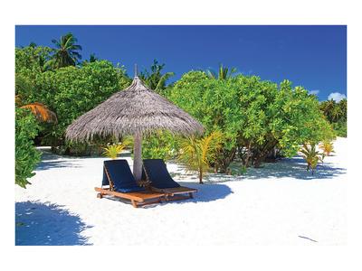 beach with chairs and umbrella