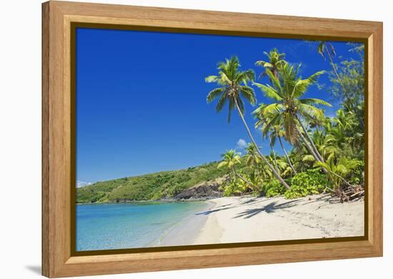 Tropical Beach, Drawaqa Island, Yasawa Island Group, Fiji, South Pacific Islands, Pacific-Marco Simoni-Framed Premier Image Canvas