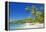 Tropical Beach, Drawaqa Island, Yasawa Island Group, Fiji, South Pacific Islands, Pacific-Marco Simoni-Framed Premier Image Canvas