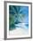 Tropical Beach II-Paul Brown-Framed Giclee Print