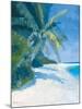 Tropical Beach II-Paul Brown-Mounted Giclee Print